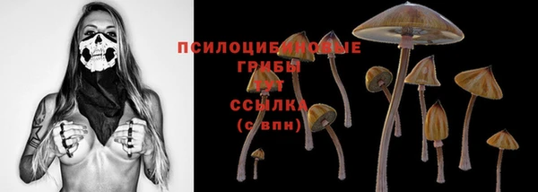 ALPHA PVP Аркадак